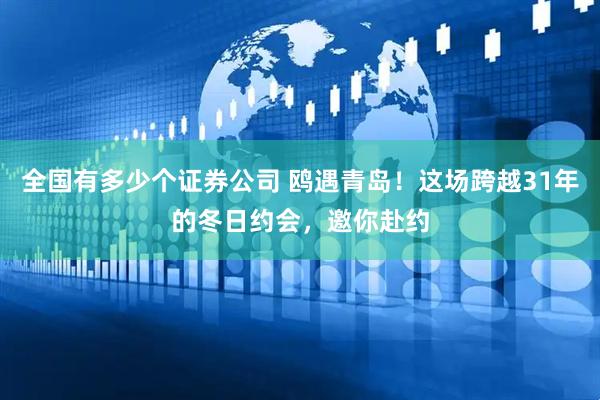 全国有多少个证券公司 鸥遇青岛！这场跨越31年的冬日约会，邀你赴约