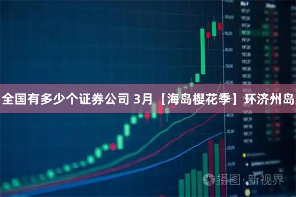 全国有多少个证券公司 3月【海岛樱花季】环济州岛