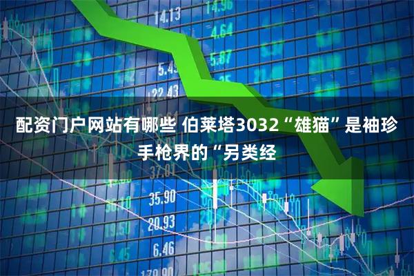 配资门户网站有哪些 伯莱塔3032“雄猫”是袖珍手枪界的“另类经
